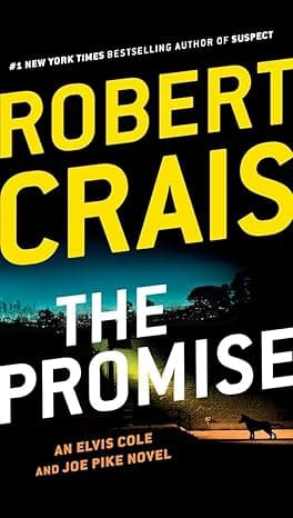 The Promise cover